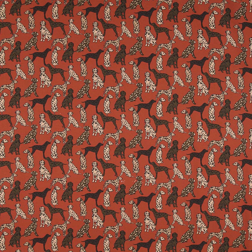 Sarja Algodão Dogs Crua - Ribes y Casals