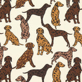 Sarja Algodão Dogs Crua - Ribes y Casals
