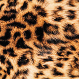 Sarga Algodón - Ribes y Casals