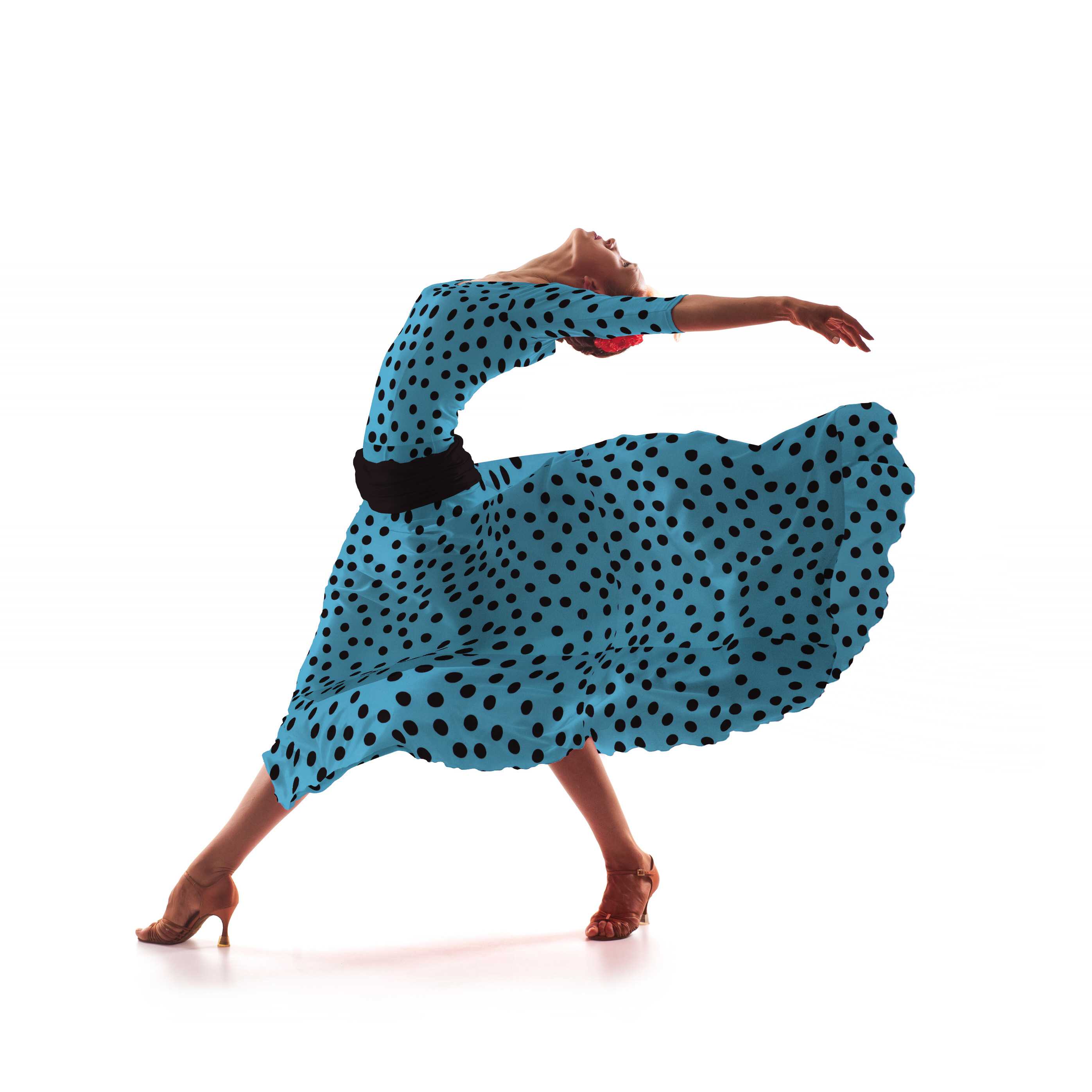 sara bielástica - Ribes y Casals