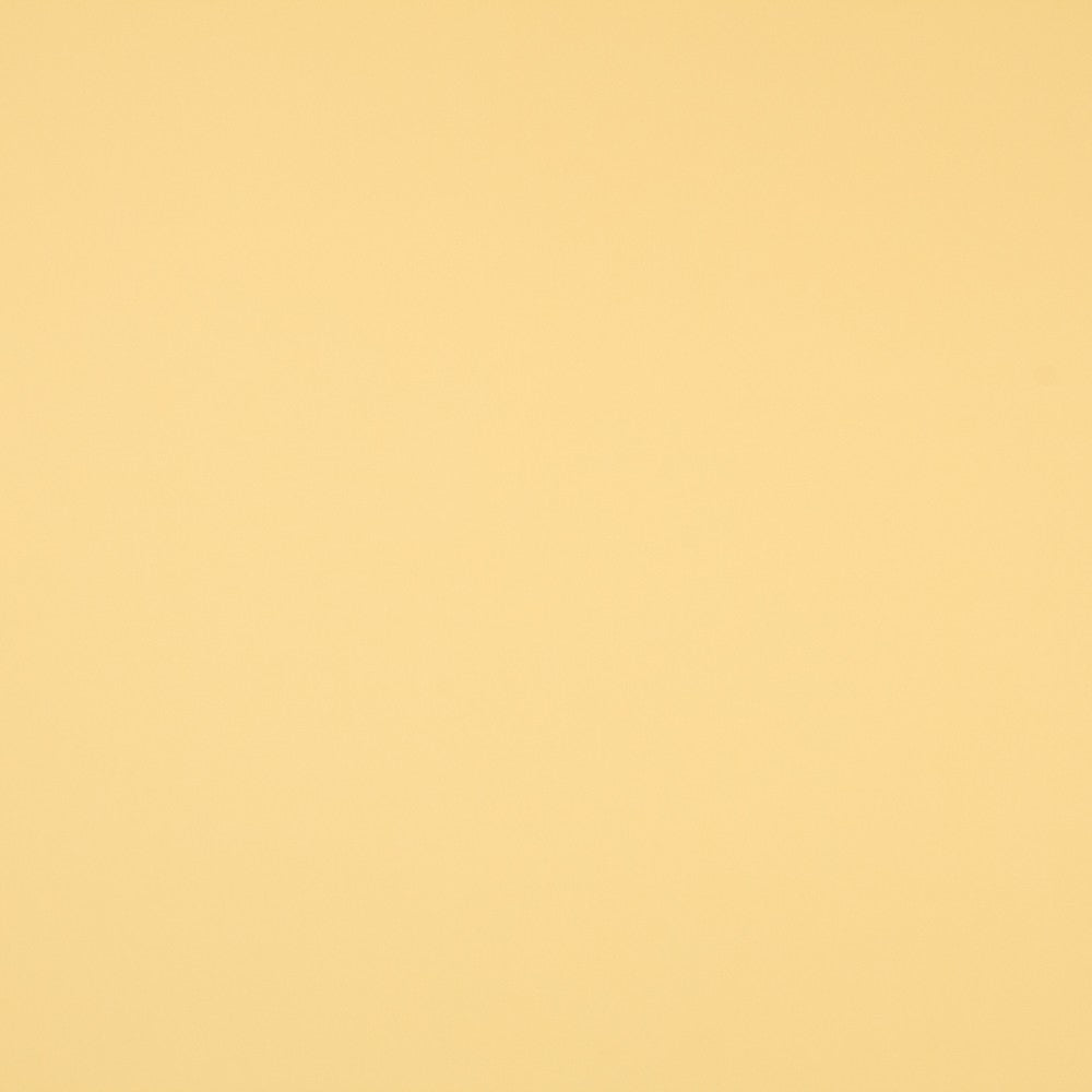 Sarga Elástica Amarilla - Ribes y Casals