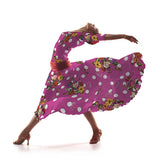 Sarja Elástica Flamenca Rosa - Ribes y Casals