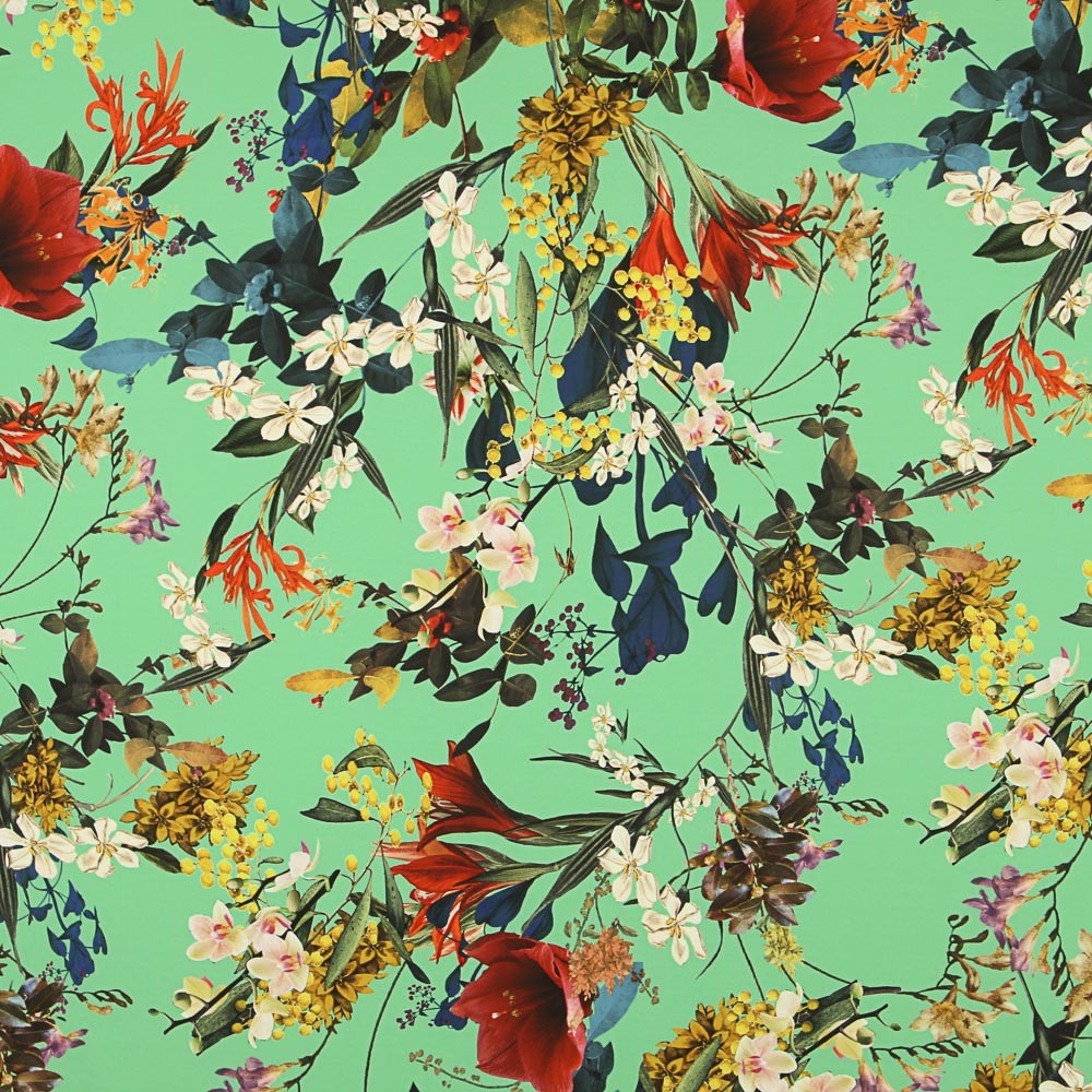 Sarja Elástica Sauvage Verde Hortelã - Ribes y Casals