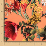 Sarja  Elástica Sauvage Tangerina - Ribes y Casals