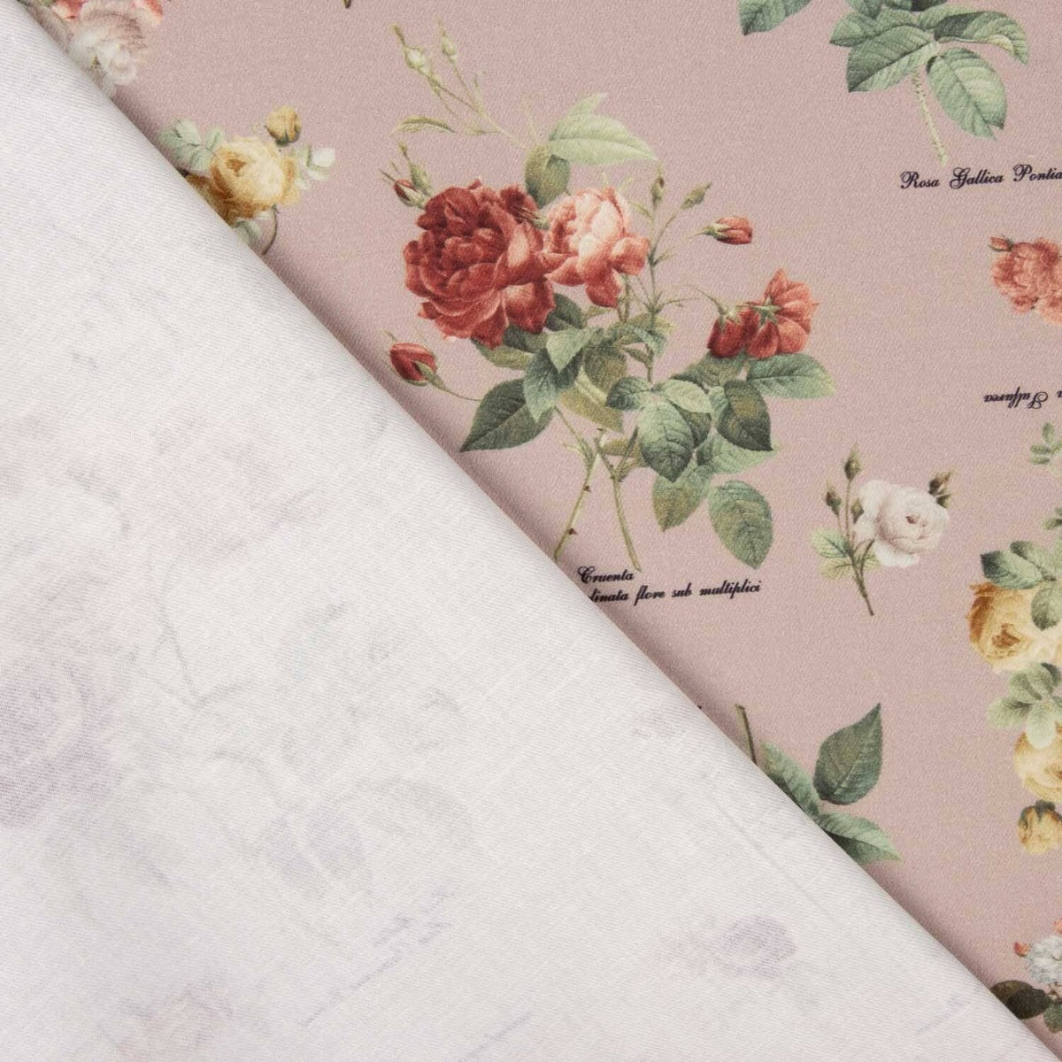 Sarja Fina Rosa Vintage - Ribes y Casals