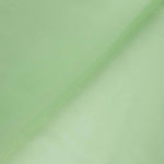 Cetim Seda Natural Verde Menta - Ribes y Casals