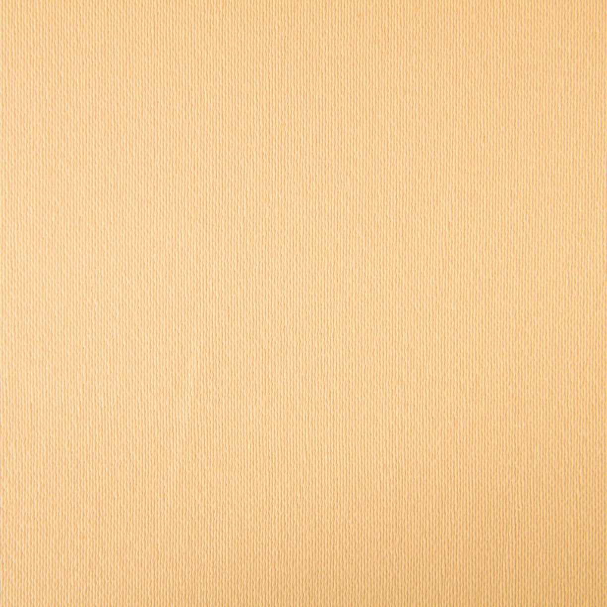 Cetim Algodão Cru - Ribes y Casals