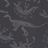 Soft Shell Jurassic Cinzento - Ribes y Casals