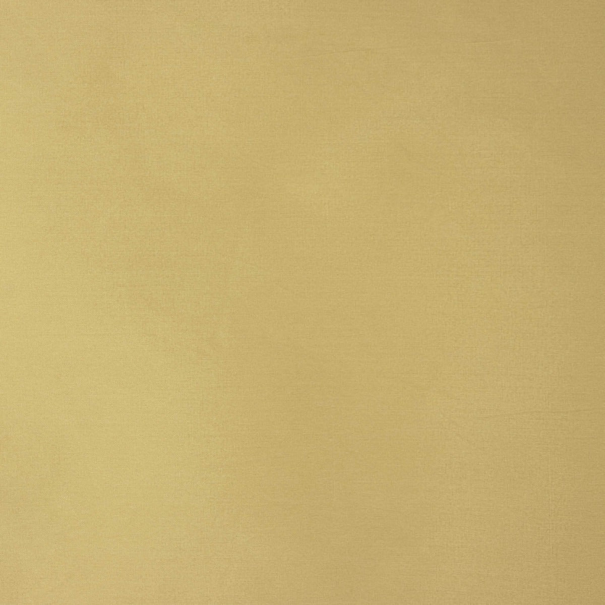 Tafetá Liso Beje - Ribes y Casals