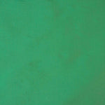 Tafetá Liso Verde - Ribes y Casals