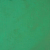 Tafetá Liso Verde - Ribes y Casals