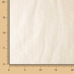 Tecido Batista Plumeti Bordado Cru - Ribes y Casals