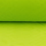 Tecido Cancan Pistácio - Ribes y Casals