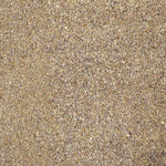 Corcho - Ribes y Casals