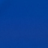 Poliéster Resinado Azulón - Ribes y Casals