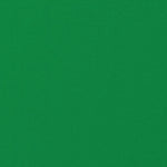 Tecido de Gaze de Poliéster Verde-maçã - Ribes y Casals