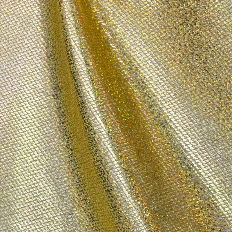 Lycra Hologram - Ribes y Casals