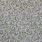 Tecido Estampado Algodão Flôr Malva - Ribes y Casals