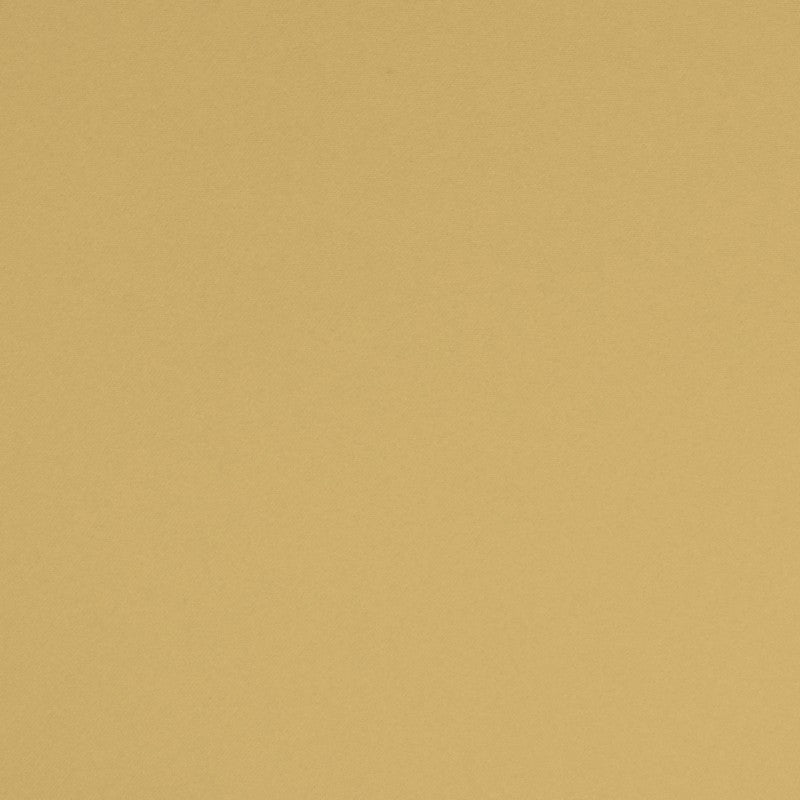 4787016 - Ribes y Casals