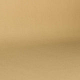 Tecido Espuma para Carros Bege - Ribes y Casals