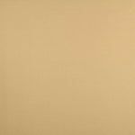 Tecido Espuma para Carros Bege - Ribes y Casals