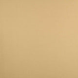 Tecido Espuma para Carros Bege - Ribes y Casals