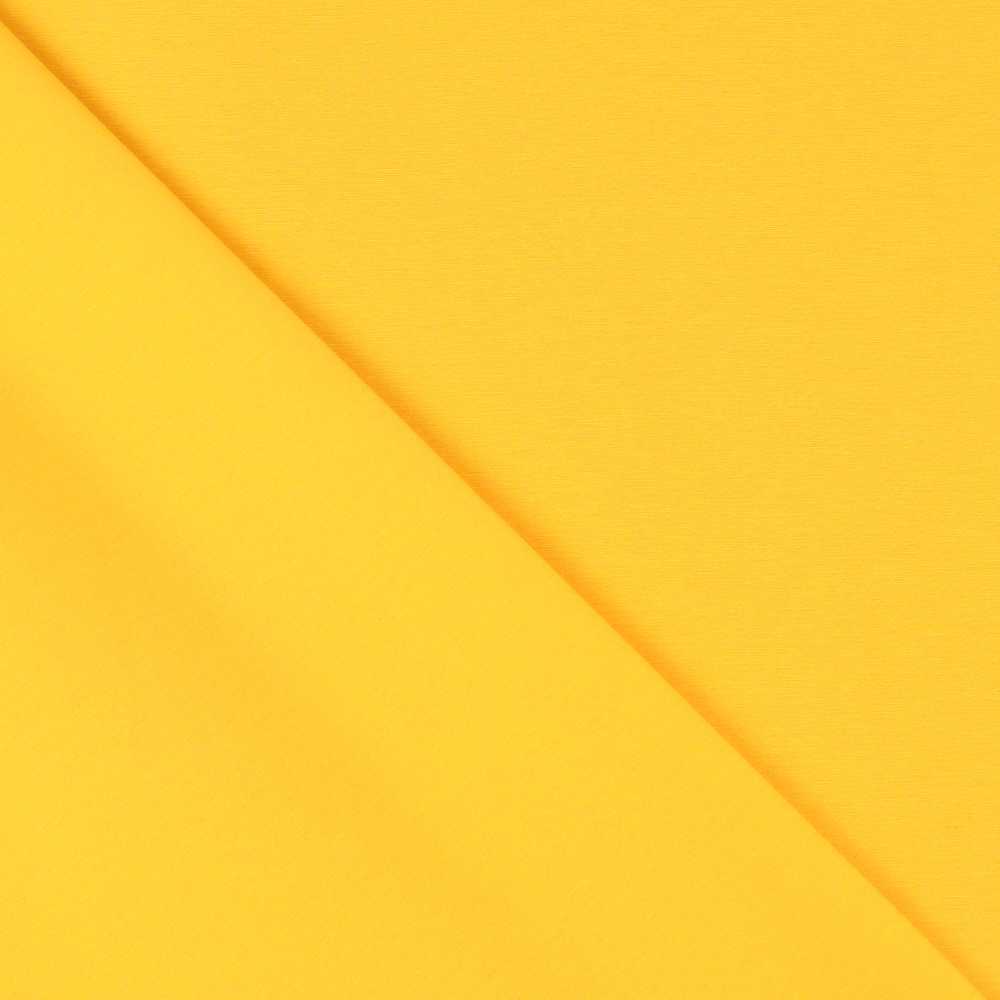 Tecido Lona Amarela - Ribes y Casals
