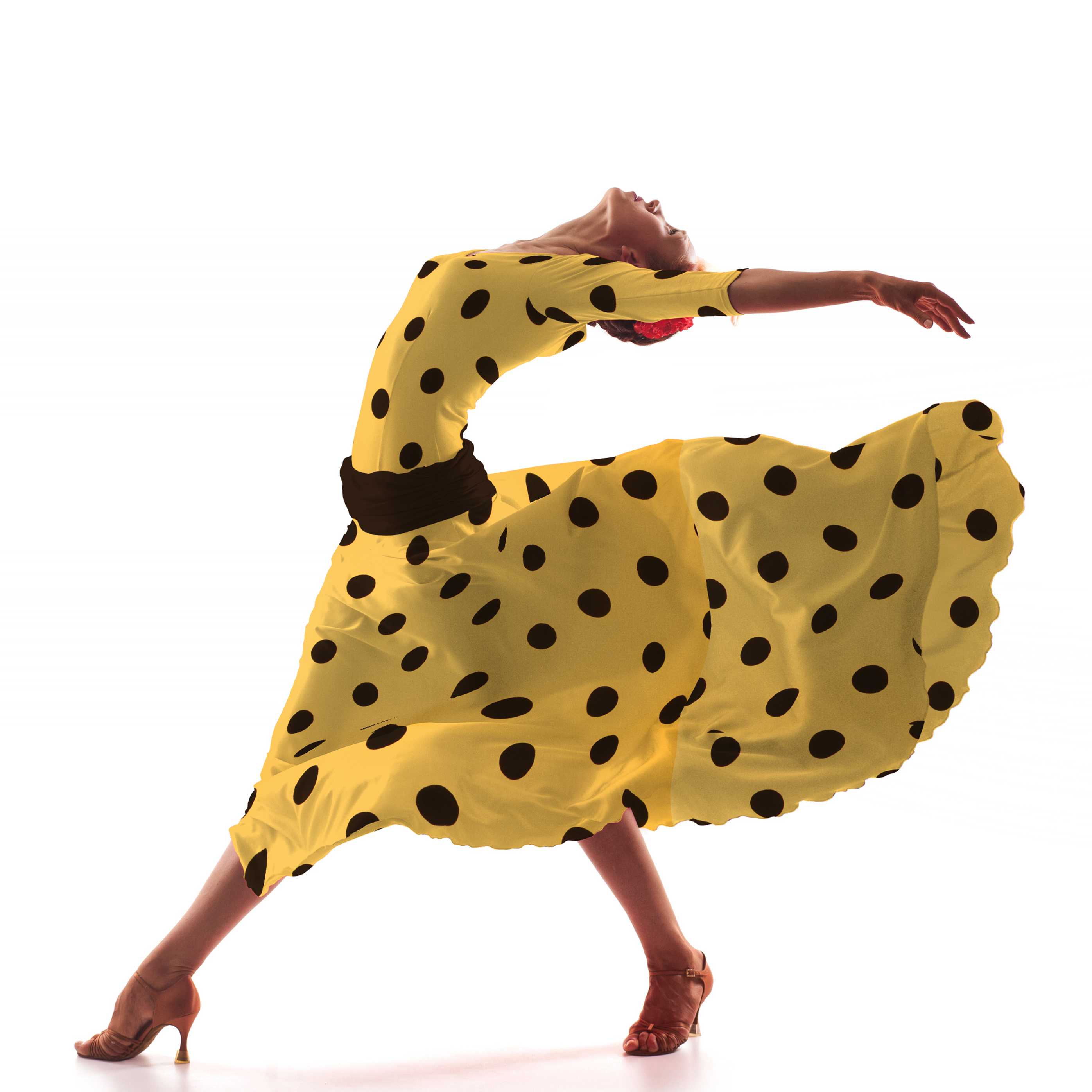 Telas Crepe - Ribes y Casals