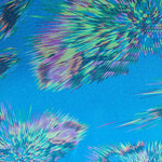 New Blonda - Ribes y Casals