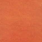 Popeline Natureza Azul Claro - Ribes y Casals