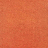 Popeline Natureza Azul Claro - Ribes y Casals