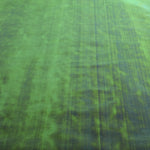 Tecido Madrepérola Verde - Ribes y Casals