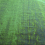 Tecido Madrepérola Verde - Ribes y Casals