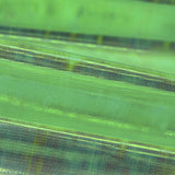 Tecido Madrepérola Verde - Ribes y Casals