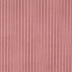 Pana Ancha - Ribes y Casals