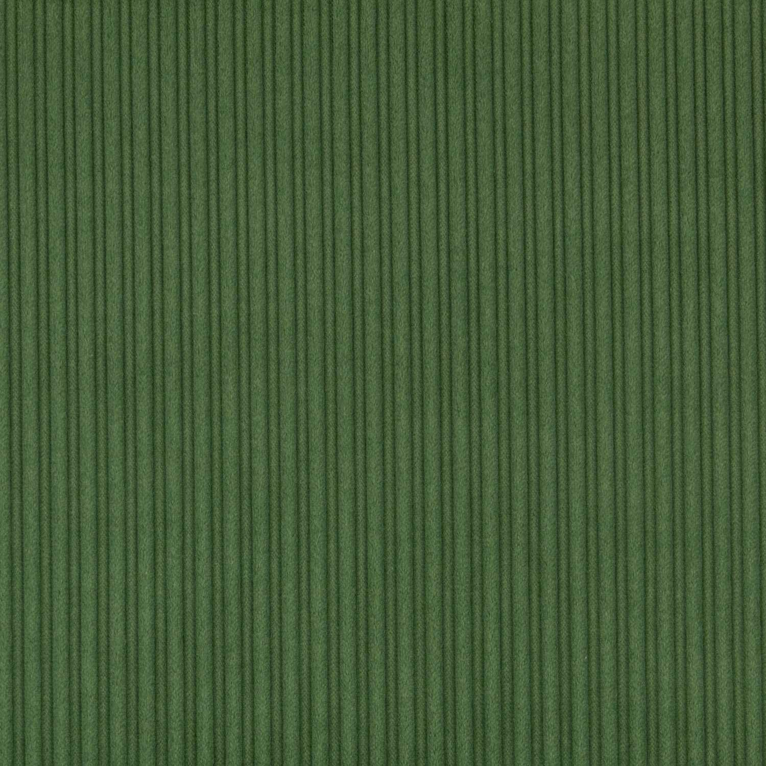 Pana Ancha - Ribes y Casals