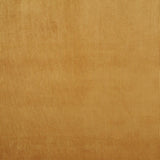 Veludo Cotelê Bege - Ribes y Casals