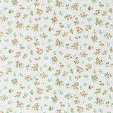 Tela PAtch - Ribes y Casals