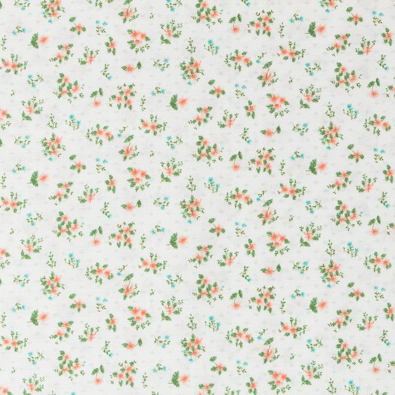 Tela PAtch - Ribes y Casals