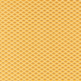 Tecido Patchwork Círculos Coral - Ribes y Casals