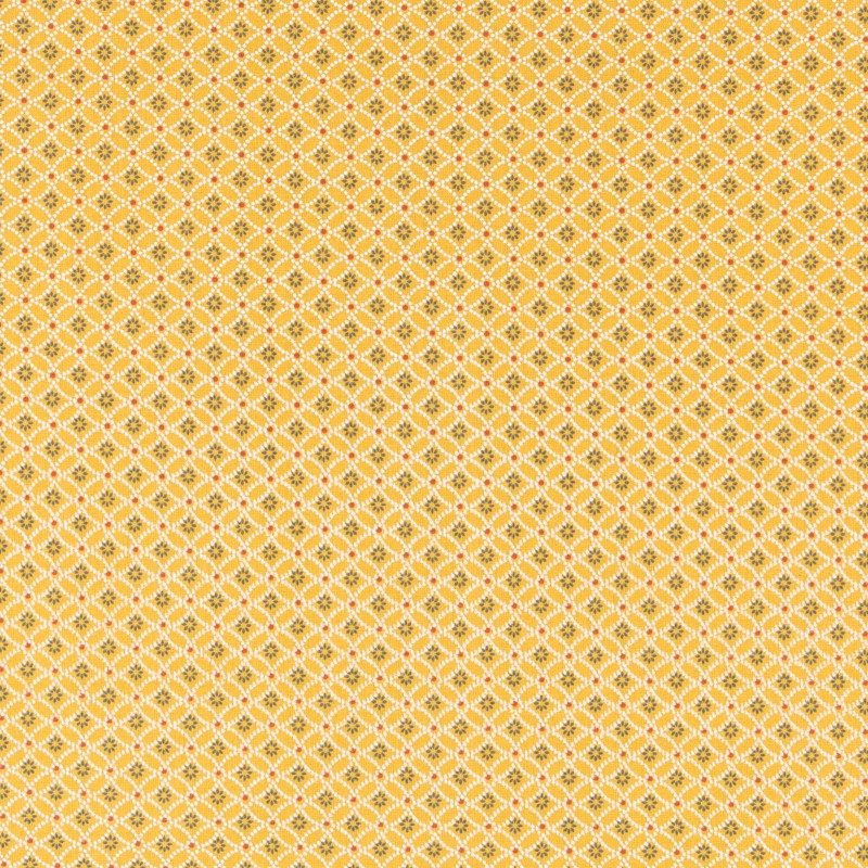 Tecido Patchwork Círculos Coral - Ribes y Casals