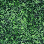 Tela PAtch - Ribes y Casals