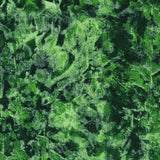 Tela PAtch - Ribes y Casals