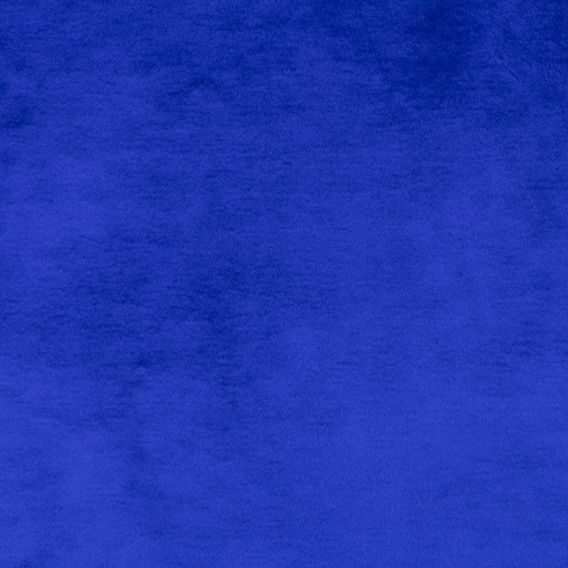 Tecido Pêlo Curto Azul Elétrico - Ribes y Casals