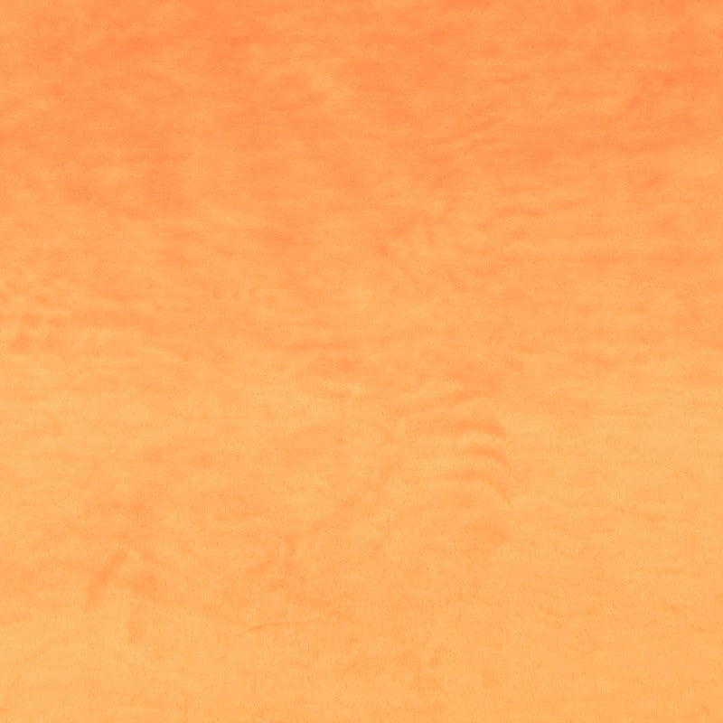 Tecido Pêlo Curto Amarelo Ouro - Ribes y Casals