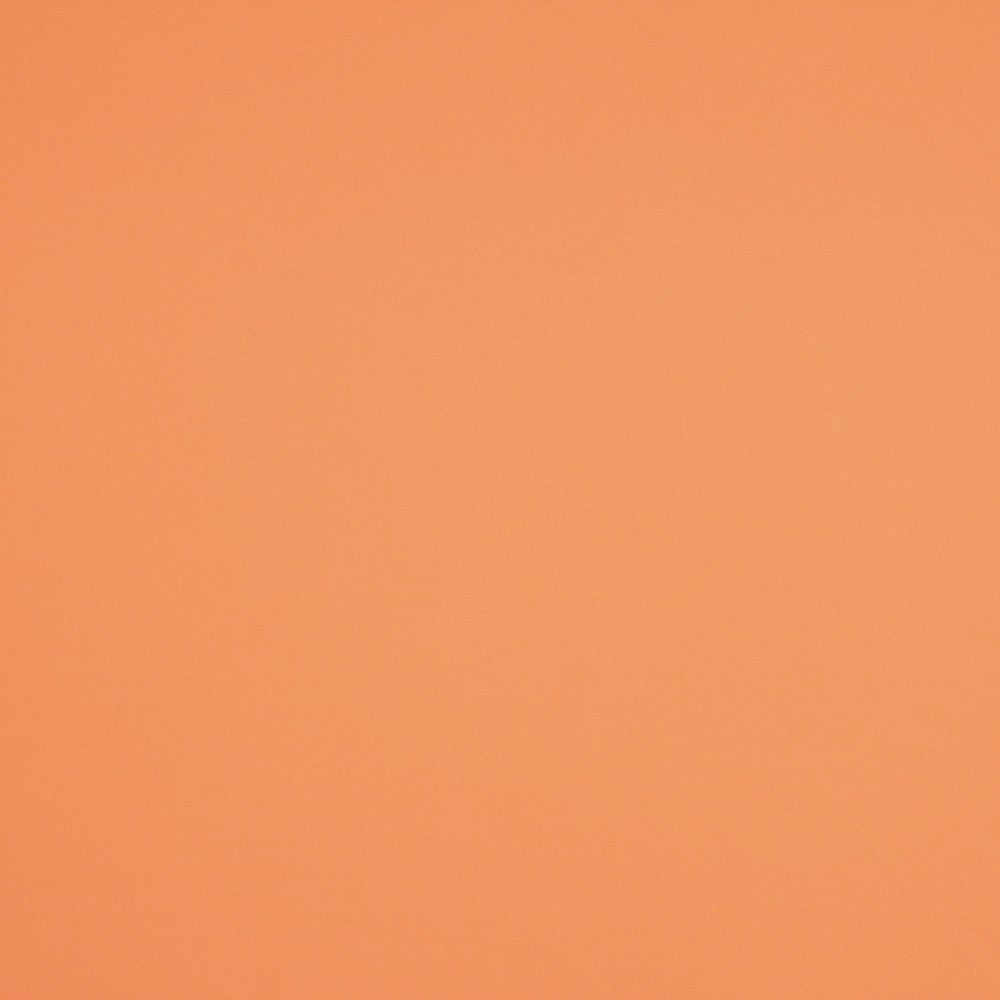 Burlington Azul Elétrico - Ribes y Casals