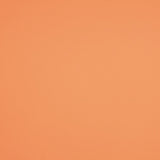 Burlington Azul Elétrico - Ribes y Casals