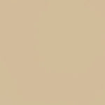 Tecido Stretch Bege - Ribes y Casals