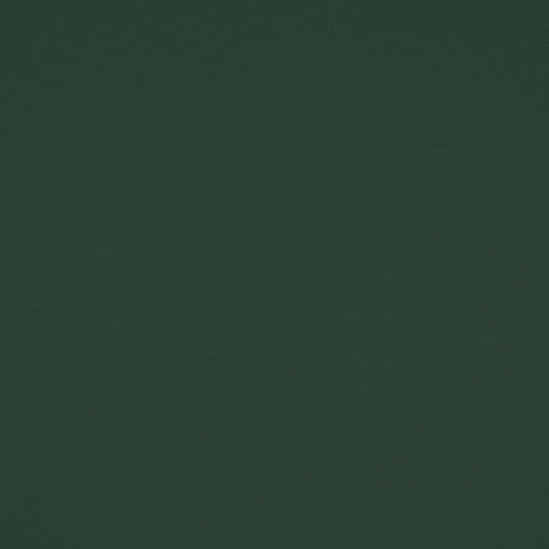 Malha de Viscose Verde Escuro - Ribes y Casals