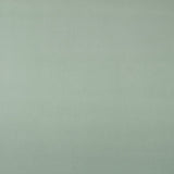 Tecido de Viscose Verde Menta - Ribes y Casals